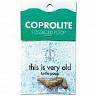 Coprolite (Fossilized Turtle Poop)