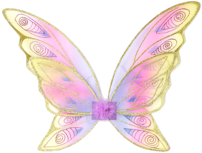 Glitter Rainbow Wings - Creative Education of Canada