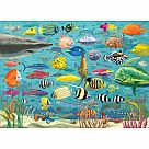 1000 Piece Puzzle, All the Fish