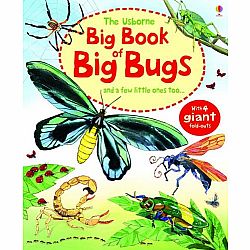 Big Book of Big Bugs