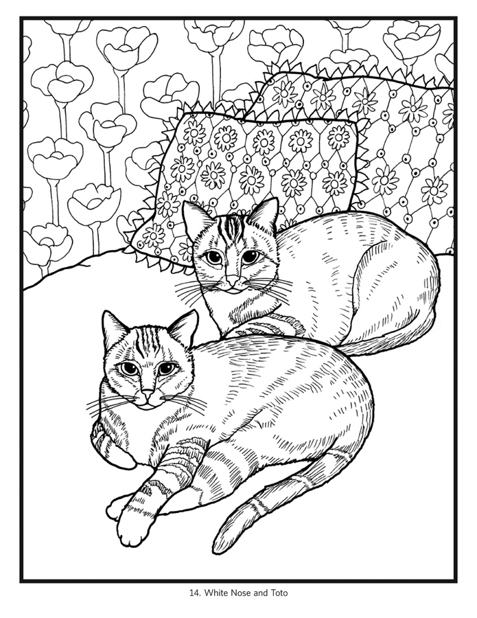 Cats Adult Coloring Book - Pomegranate