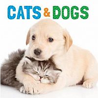 Cats and Dogs - Board Book