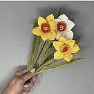 Daffodils Felt Flower Kit