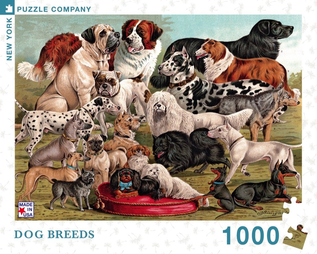  Group Photo of Dogs Jigsaw Puzzles 1000 Pieces Puzzles
