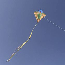 Dragon 30" Diamond Kite