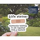 Life Status Vinyl Sticker