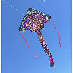 Mandala 45" Fly-Hi Kite - Pickup Only