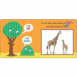 My First Opposites Padded Board Book