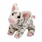 Pauline Spotted Pig, Small