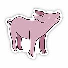 Pink Pig Vinyl Sticker