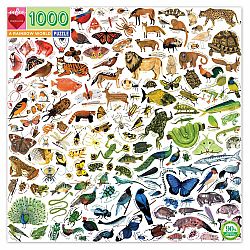 1000 Piece Puzzle, A Rainbow World