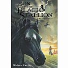 Black Stallion 3: Son of the Black Stallion