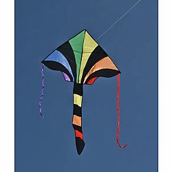 Rainbow Sparkler Fly Hi Kite - Pickup Only