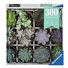 300 Piece Puzzle, Green Succulents (Puzzle Moments)