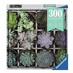 300 Piece Puzzle, Green Succulents (Puzzle Moments)