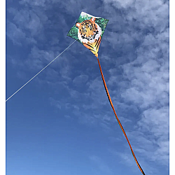 30" Tiger Diamond Kite
