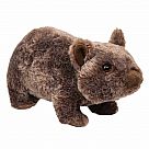 Toowoomba Wombat