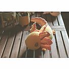 Gold Axolotl Weighted Plush